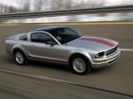 Ford Mustang Warriors in Pink 2008 года
